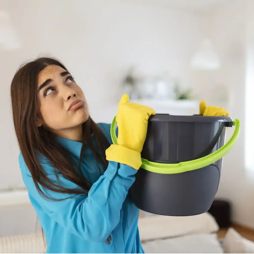 water damage restoration service Ryland Heights